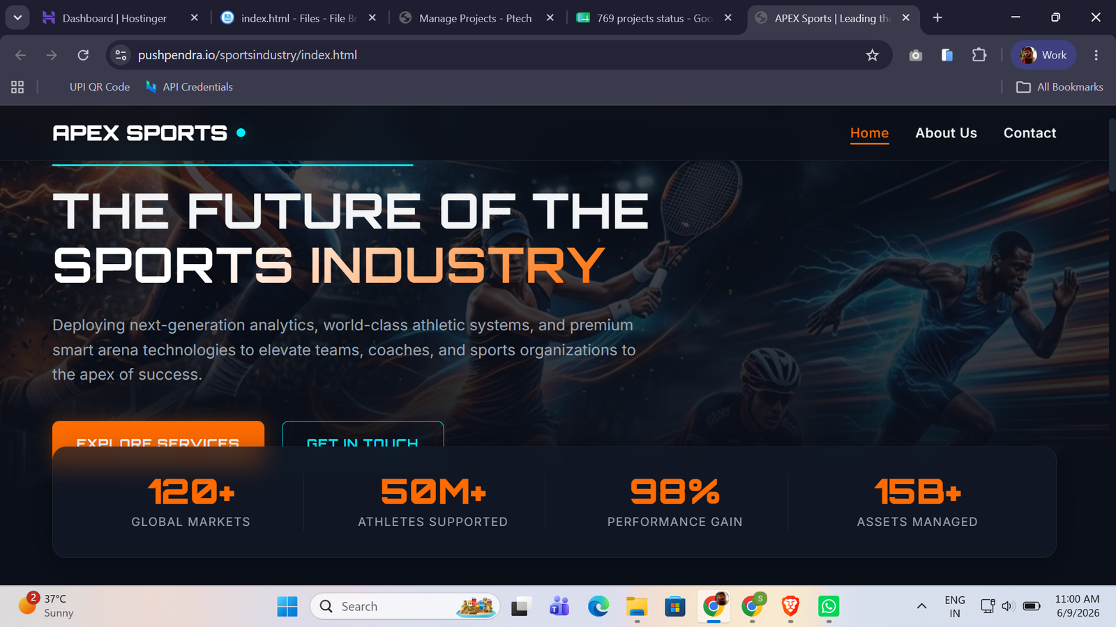 Sports Industry