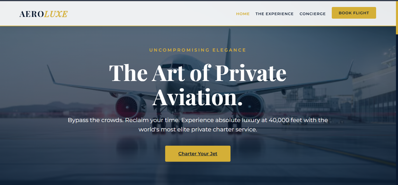 Aviation Industry
